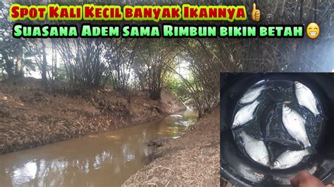 Mancing Liar Spot Mancing Karawang Mancing Ikan Tawes Mancing Di