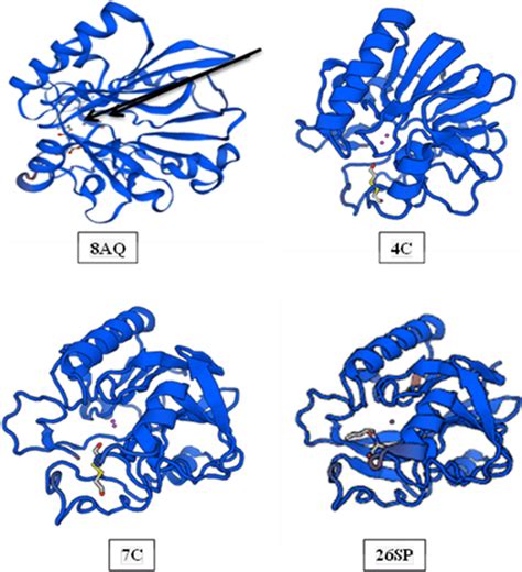 The Putative Tertiary Structure Of Lactonase Enzyme Of Bcereus The