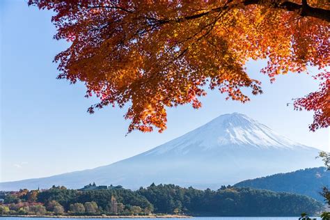 Tripadvisor Private Sightseeing Tagestour Zum Berg Fuji Oder Hakone