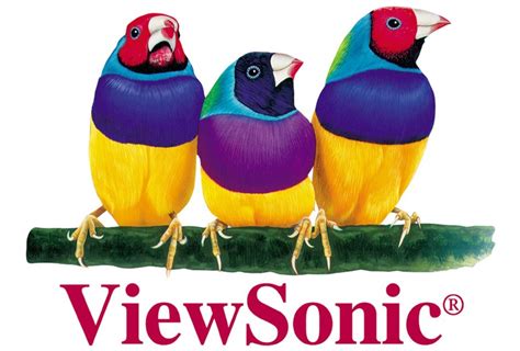 ViewSonic Logo / Electronics / Logonoid.com