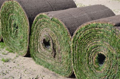 Sodding Instructions About How To Properly Install Sod In A Yard