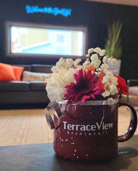 Terrace View Apartments added a... - Terrace View Apartments