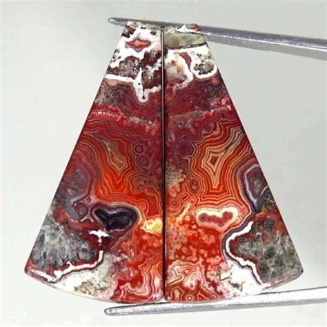 25 70Cts Natural Crazy Lace Agate Fancy Pair Cabochon Loose Gemstone EBay