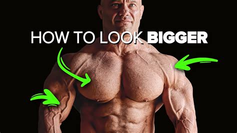 The Most Important Muscles To Train To Look Bigger Youtube