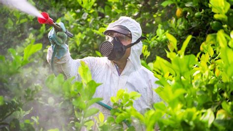 64% of World’s Farmland at Risk From Pesticide Pollution, Study Finds ...