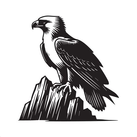 Philippine Eagle Silhouette - Eagle Logo - A Philippine Eagle perched on a rock illustration in ...