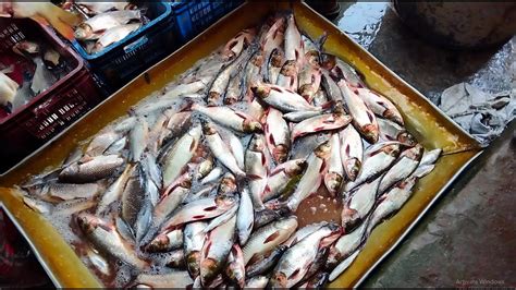 Big Fish Market In Bangladesh Fish Market Big Fish Fishing World