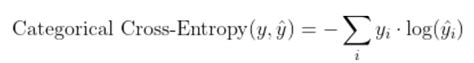 Understanding The Difference In Performance Between Binary Cross