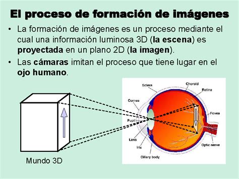 El proceso de formación de imágenes