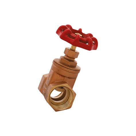 Brass Gate Valve 50mm 2 Nylex Tanks