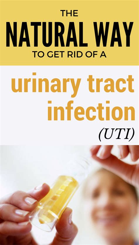 The Natural Way To Get Rid Of A Urinary Tract Infection Uti