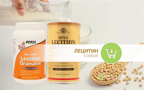 Лучший соевый лецитин – Telegraph