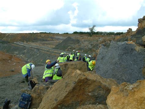 UK Fossil Collecting