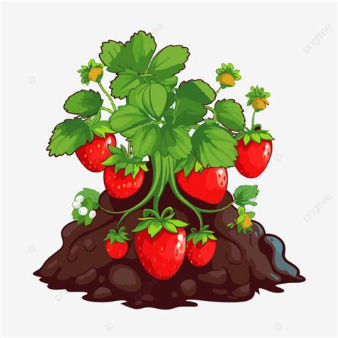 Gambar Clipart Tumbuhan Strawberi Tumbuhan Strawberi Dengan Tanah Dan