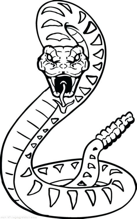 Sea Snake Coloring Page At GetColorings Free Printable Colorings