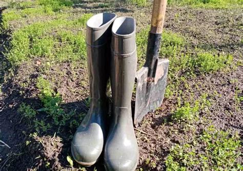 Как избавиться от сорняков навсегда на огороде: замена вспашки и ...