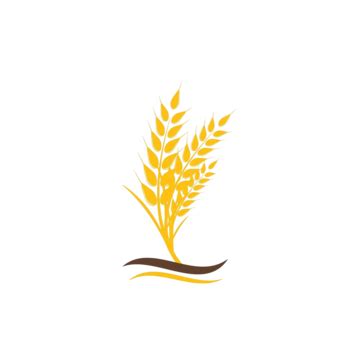 Wheat Logo Template Vector Symbol Icon Farming Harvest Vector Icon