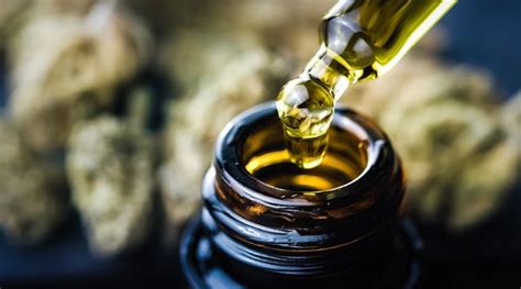 Cannabis Oil: A Comprehensive Guide