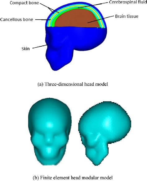 Three Dimensional And Finite Element Model Download Scientific Diagram