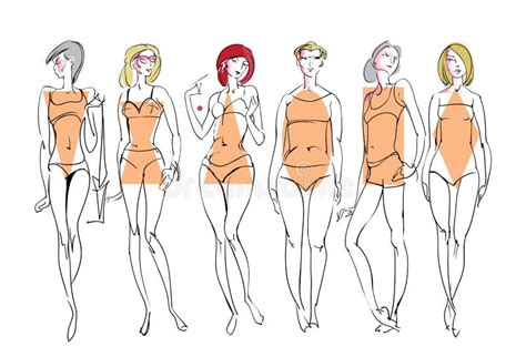 Female Body Types Vector Body Types Slim Anatomy Constitution Hourglass Women Proportions Style