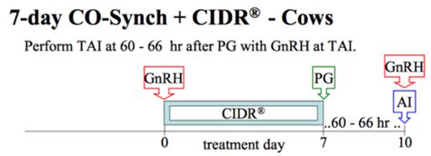 Beef Exam 2 Flashcards | Quizlet 