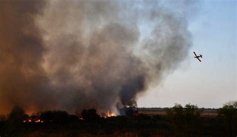 El Fuego Arrasó 300 Mil Hectáreas Y Devastó A Fauna Y Flora De Los