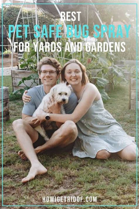 Best Pet Safe Bug Spray For Yards and Gardens - How I Get Rid Of