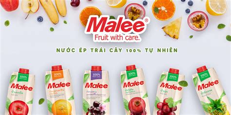 Nước Ép Đào Và Trái Cây Hỗn Hợp Malee 1L (Thái Lan) - Nước trái cây các ...