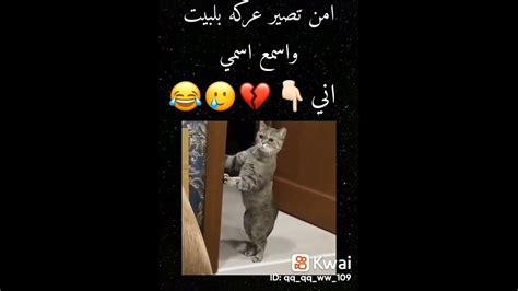 من تصير عركه و اسمع اسمي 😂🥲💔 Youtube