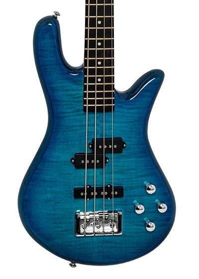 USA Custom Shop - Spector Bass