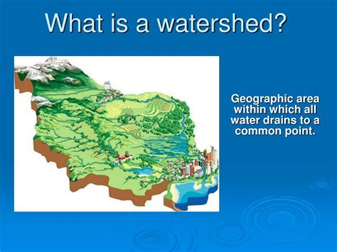 PPT - Watershed 101 PowerPoint Presentation, free download - ID:1865144