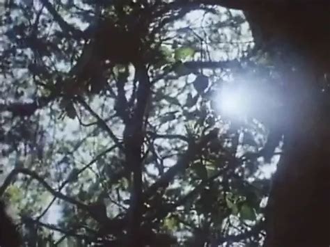 Summer Rose Porn Videos Porn Star Sex Scenes XHamster