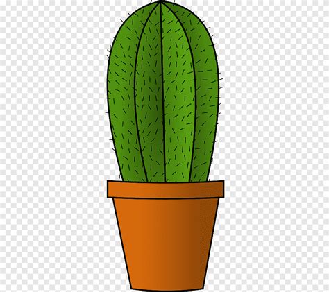 Cactaceae Drawing Cactus Silhouette Leaf Cactaceae Png Pngegg