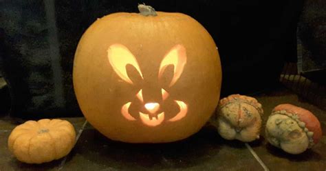 How To Carve Totally Awesome Halloween Bunny Pumpkins Pumpkin Carving Pumpkin Bunny