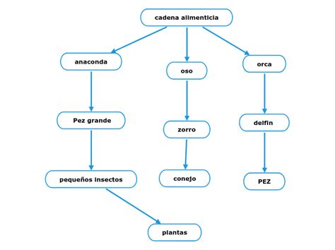 Cadena Alimenticia Mind Map Sexiz Pix