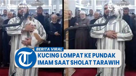 Viral Video Kucing Lompat Ke Pundak Imam Saat Sholat Tarawih Youtube