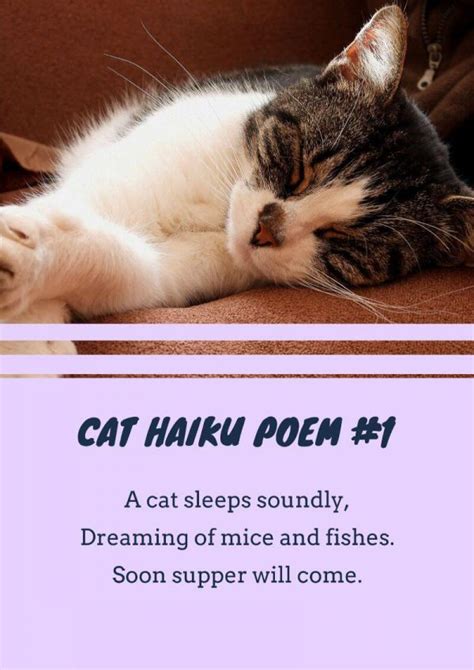 16+ Cat Poems For Kids To Read 🐈 | Imagine Forest