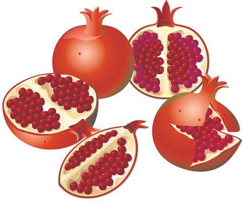 Pomegranate Png Transparent Image Download Size 4772x3997px