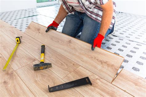 Handyman Installing New Laminated Floor Stock Photo Image Of House