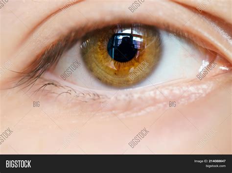 Human Eye Reflection Image And Photo Free Trial Bigstock