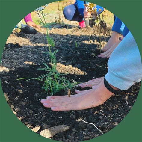 Awes Agroforestry And Woodlot Extension Society Of Alberta