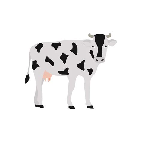 Vaca Holstein Con Manchas Blancas Y Negras En Ilustración Vectorial