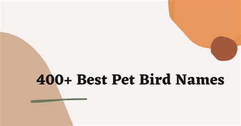 400 Best And Catchy Pet Bird Names