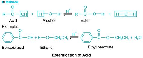 Esterification Learn Definition Mechanism Methods And Uses