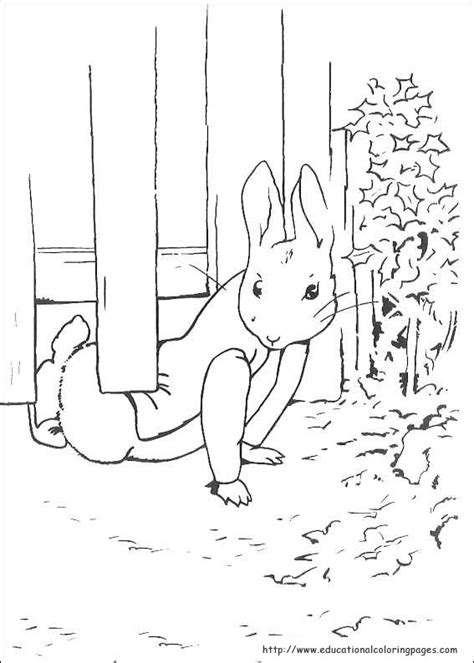 Slashcasual Peter Rabbit Coloring Pages