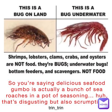 So You’re Saying Delicious Seafood Gumbo Is Actually A Bunch Of Sea Roaches In A Pot Of