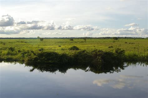 Humedal Costero Biodiversidad