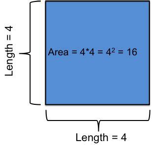 The Shape of Square Roots | Illinois Science Council
