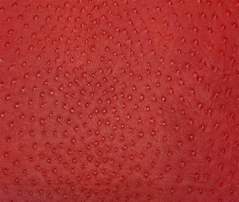 Vinyl Ostrich Emu Red Faux Leather Home Decor Craft Upholstery Multi Use Fabric By The Yard