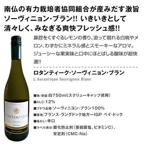 【送料無料】第67弾！1本あたり780円税込採算度外視の大感謝厳選白ワイン12本セット｜東京ワインガーデン Kiselavoda